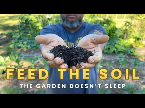 Видео: Почему отсутствие осеннего сада вредит вашему весеннему саду