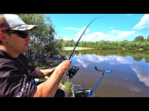 Видео: Карась, Короп в Десні. А де Лящ? Ловлю на Фідер