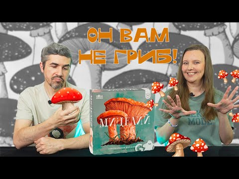 Видео: МИЦЕЛИЙ - развивайся и захватывай! (правила, летсплей, мнение)