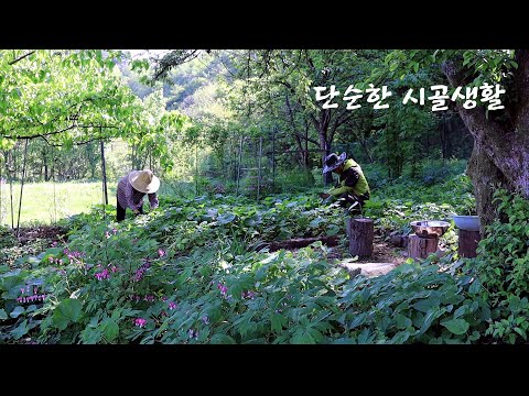 Видео: Май - это еще и спокойная и комфортная загородная жизнь,,,