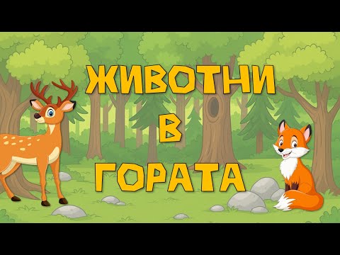 Видео: 🐻🦌🐺Горските животни, малките животни, техните родители, храна и техните домове 🦊🐺🫎