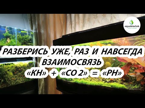 Видео: Взаимосвязь КН, СО2, РН в аквариуме. Разберись уже, раз и навсегда.