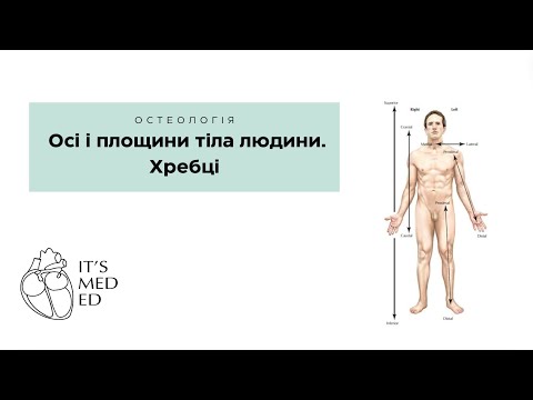 Видео: Осі і площини тіла людини. Хребці
