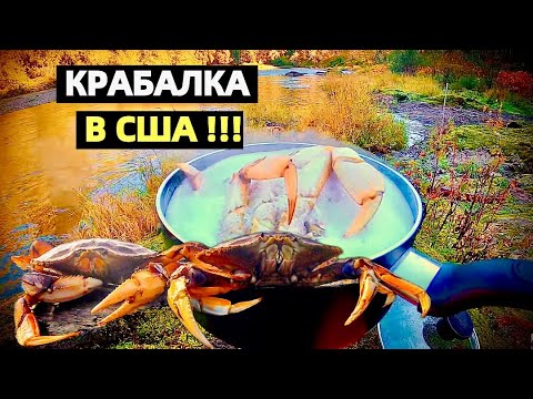 Видео: КРАБАЛКА И РЫБАЛКА НА СЕВЕРО ЗАПАДЕ США. КРАБЫ И ЛОСОСЬ. РЕЦЕПТ КАК ГОТОВИТЬ КРАБОВ. CRAB AND SALMON