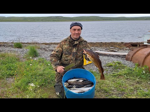 Видео: Палаточная жизнь и рыбалка на Кольском п-ове. июль 2024г.