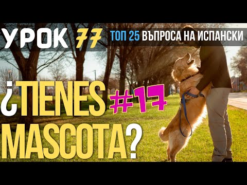 Видео: Испански език 🇪🇸 Урок 77 ❓ Toп 25 въпроса: #17 - Имаш ли домашен любимец❓