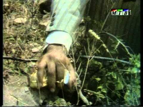 Видео: Македонски народни приказни-Добриот џин и сиромавиот