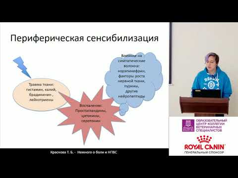 Видео: Краснова Т. Б. -  Немного о боли и НПВС