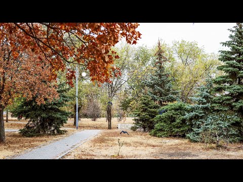 Видео: Алчевская шалунья осень 2020