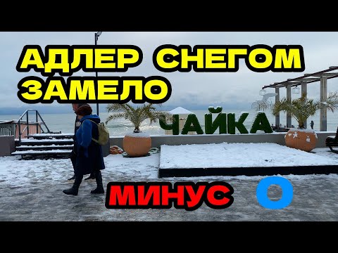 Видео: Адлер 2025 | СТОЛЬКО СНЕГА Я НЕ ВИДЕЛ ЗА 5 ЛЕТ | БЕЛЫЕ ПАЛЬМЫ И ХРУСТ ПО НОГАМИ