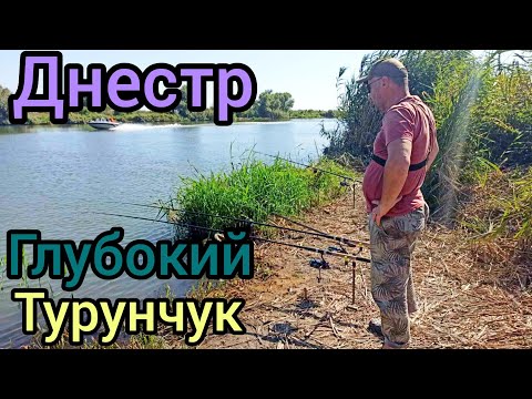 Видео: Рыбалка на Днестре "Глубокий Турунчук".Ловля сазана и леща на горох#рыбалка2023#сазан#лещ#днестр