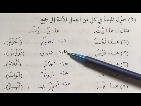 Видео: 16-сабак акылсыз коптук турлорго конугуулор