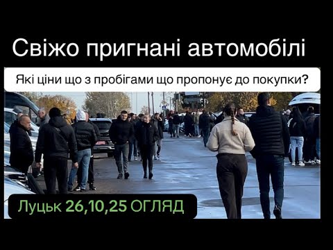 Видео: Огляд  Луцького авторинку 26,10,25 ☑️