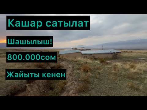 Видео: Срочно Кашар сатылат 800.000сом