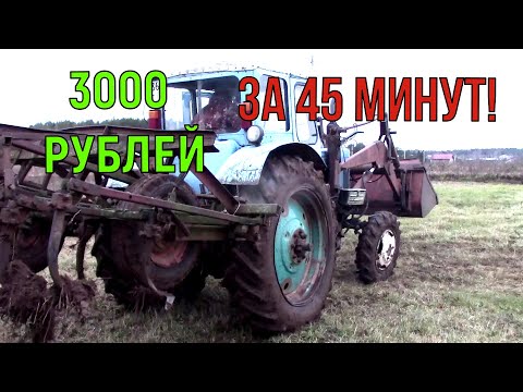 Видео: ЗАКАЗАЛ ТОТ ЖЕ ТРАКТОР! КУЛЬТИВАЦИЯ ЗЕМЛИ ПОСЛЕ ВСПАШКИ