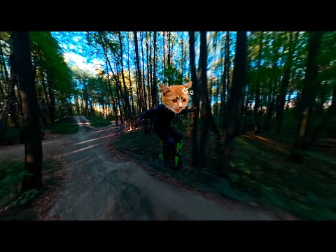 Видео: Моноколесо + дёрты = веселье | EUC extreme riding