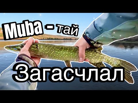 Видео: Цурхайтай 🎣Загасчлал🎣 (Northern pike fishing in Mongolia)