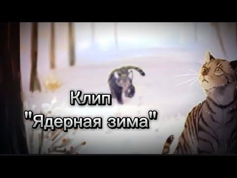Видео: Коты-воители/Клип/"Ядерная зима"/@NICKSAX