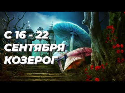 Видео: ❤️КОЗЕРОГ. ♑️С 16 - 22 сентября 2024.♑️