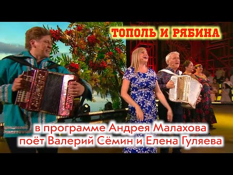 Видео: ХИТ "Тополь и рябина" в программе "Привет, Андрей!" поют Валерий Сёмин и Елена Гуляева. ОГОНЬ!!!"❤️