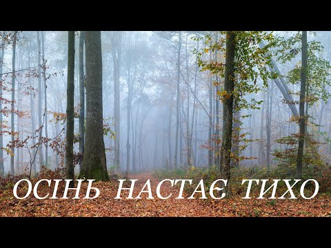 Видео: ОСІНЬ НАСТАЄ ТИХО.  Фільм про осінь 2025 року