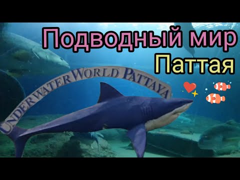 Видео: Подводный мир (Океанариум, Паттая) Underwater World Pattaya พิพิธภัณฑ์สัตว์น้ำ พัทยา