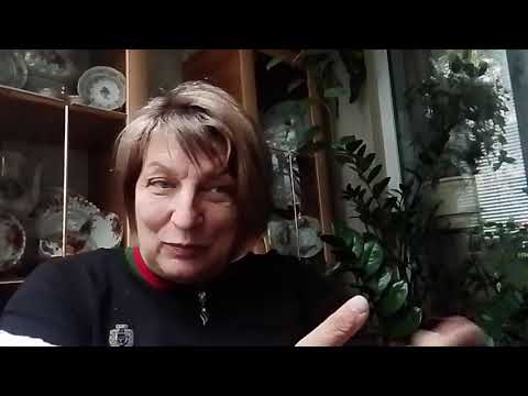 Видео: Ну что же.... Подходим к самому - самому. Откуда берутся верования?