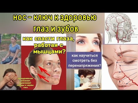 Видео: Мышцы носа блокируют артерии, питающие глаза, зубы и десны. Методы декомпрессии