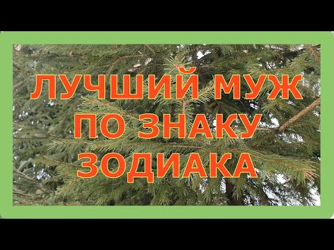 Видео: ЛУЧШИЙ МУЖ ПО ЗНАКУ ЗОДИАКА. Кто на 1 месте?! (рейтинг)