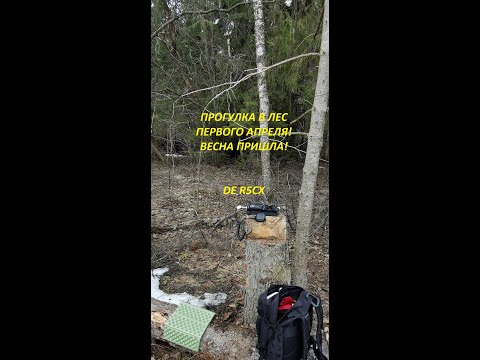 Видео: 🌦 ПВД в лес 🌲01.04.2023 📻 Радиосвязь КВ
