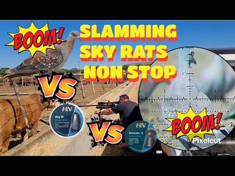 Видео: Daystate Safari безостановочно критикует Sky Rats.