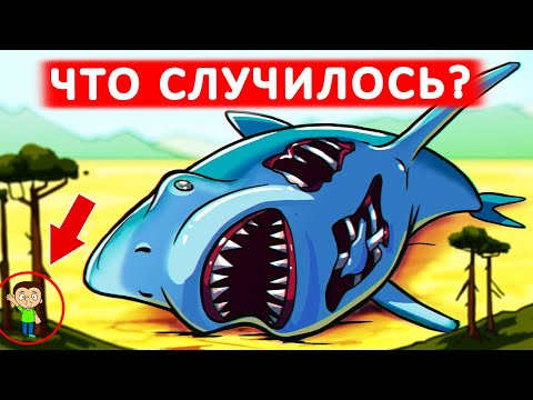 Видео: Почему мегалодон вымер? Что случилось с гигантской акулой?