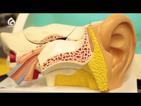 Видео: Хронический отит среднего уха \ Семейный доктор \ Асыл арна