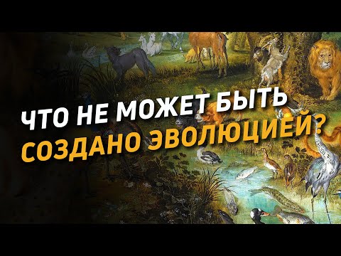 Видео: Что не может быть создано эволюцией? Разбор статьи Н.Лосского