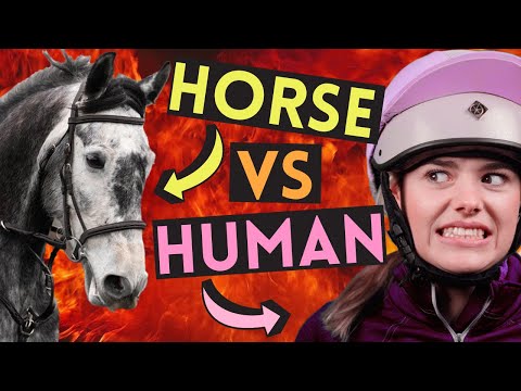 Видео: Лошадь против человека! Кто победит? Это Эсме.