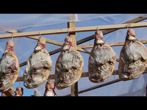 Видео: Празник на еленския бут в Елена 2024