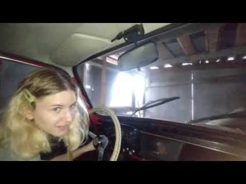 Видео: Міра вчиця заводить жужика