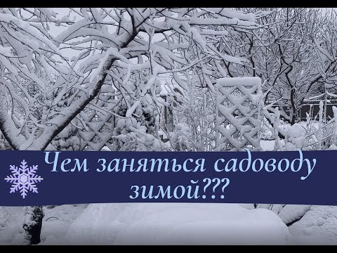 Видео: Чем заняться садоводу зимой?