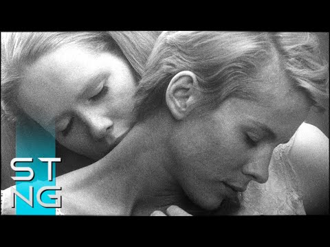 Видео: Opus Magnum. Личный взгляд на лучшие фильмы