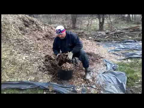 Видео: Арболитомес.