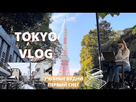 Видео: Одна неделя из жизни студента в Токио // сессия, др подруги, работа, первый снег