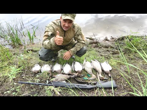 Видео: ОХОТА НА УТКУ С ПОДХОДА. ТАКИХ ПОДХОДОВ У МЕНЯ ЕЩЕ НЕ БЫЛО!!! ОСТАВИЛ КУЧУ УТКИ С ОГРОМНОЙ СТАИ.