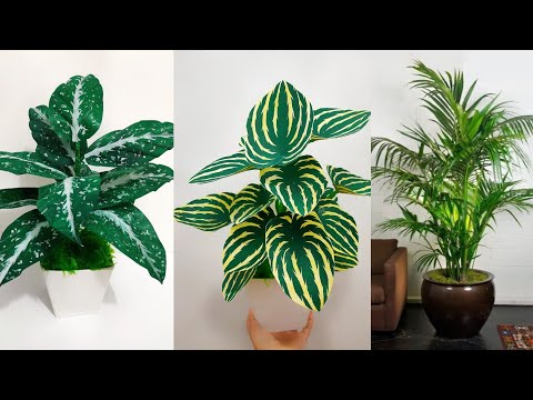 Видео: Как сделать цветок из полиэтиленового пакета | Идеи цветочных поделок