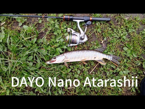 Видео: Dayo nano Atarashii первая рыбалка