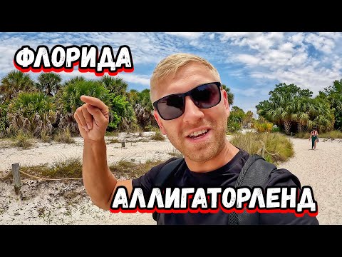 Видео: Алигаторы и КАПИБАРЫ во ФЛОРИДЕ / Животные Флориды