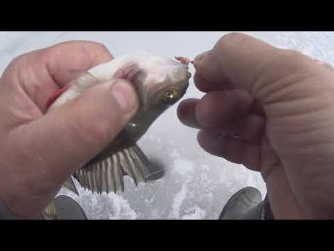 Видео: НА АЭРОЛОДКЕ НА РЫБАЛКУ. ОКУНЬ НА МОРМЫШКУ.УСТЬ ИЛИМСКОЕ ВОДОХРАНИЛИЩЕ. ВОТ ЭТО УЛОВ ПОСЛЕДНЕГО ЛЬДА