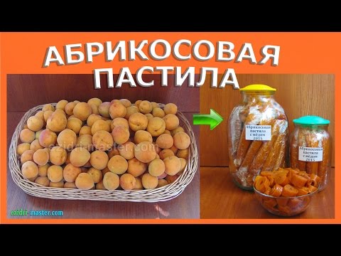 Видео: Абрикосовая пастила с мёдом в сушилке Ezidri