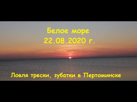 Видео: Рыбалка на Белом море