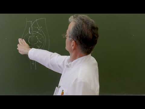 Видео: Пластика по Сапежко при пупочных грыжах