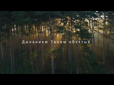 Видео: SokolovBrothers - Дыханием Твоим объятый